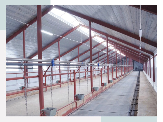 Строительство коровников в Нижнем Новгороде от 625 руб.