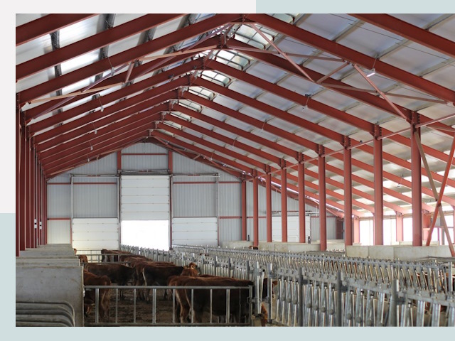 Строительство коровников в Нижнем Новгороде