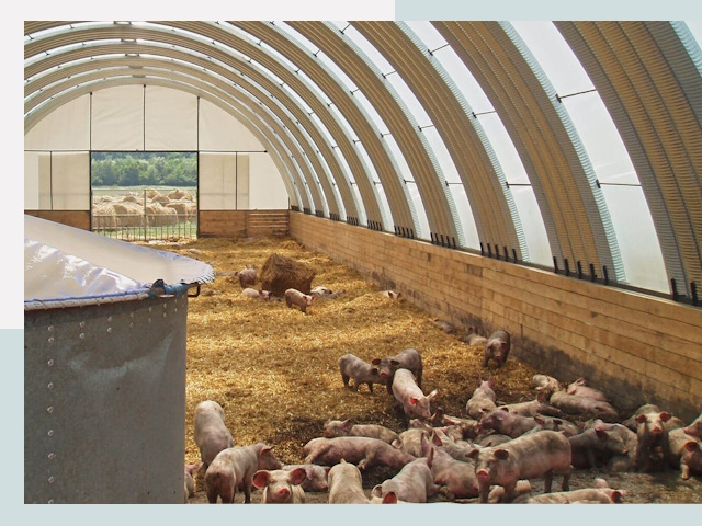 Строительство свинарников в Нижнем Новгороде