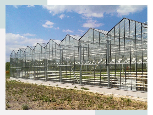 Строительство теплиц в Нижний Новгород от 625 руб. за м²